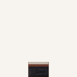 TRICOLOR LEATHER CARD HOLDER